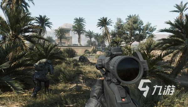 项目中投入 项目中投入